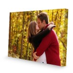 104-313cd88-canvas-normaal-large